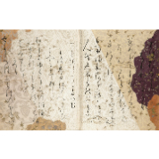 国宝「三十六人家集」特別公開特集 ②